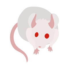 正面を向くアルビノの白いハツカネズミ。フラットなベクターイラスト。
Facing forward albino white house mouse. Flat designed vector illustration.