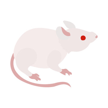 横向きのアルビノの白いハツカネズミ。フラットなベクターイラスト。
A sideways facing albino white house mouse. Flat designed vector illustration.