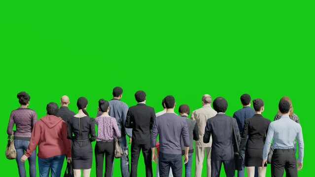 Isolated Group of Businessman Standing in Back View,3D People Animation on Green Screen Background Chroma key