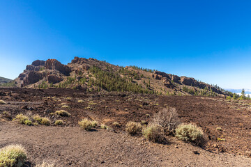 Blick zum Roques del Cedro am Mirador de las Narices del Teide