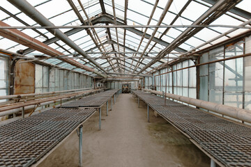 Empty molds for seedlings inside the greenhouse.