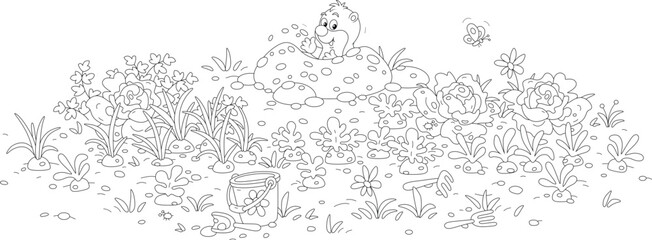Funny mole peeking out of its new hole among ripening vegetables in a summer kitchen garden, black and white outline vector cartoon illustration for a coloring book