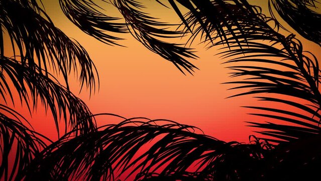 Silhouette of palm trees frame gently waving on a sunshine background. Sunset palm border with gradient colors.