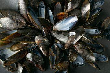 Empty Mussels Shell Texture Background, Black Clams Shells Pattern, Eaten Mollusc, Empty Shellfishes