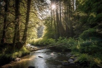 Obraz premium A dense forest with tall trees blocking out the sun, and a river flowing gently through the underbrush. Generative AI