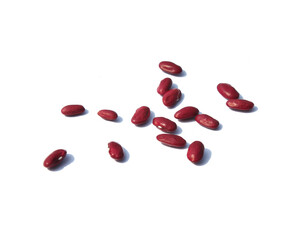 red kidney bean isolated on white background