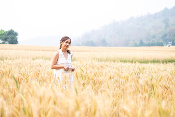 Young Asian women  in white dresses  in the Barley rice field season golden color of the wheat plant at Chiang Mai Thailand