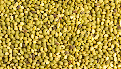 Mung bean seeds food panoramic background, close-up with Generative AI Technology