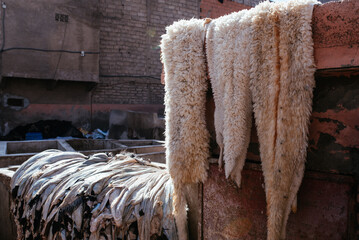 Marrakech leather tannery, Morocco