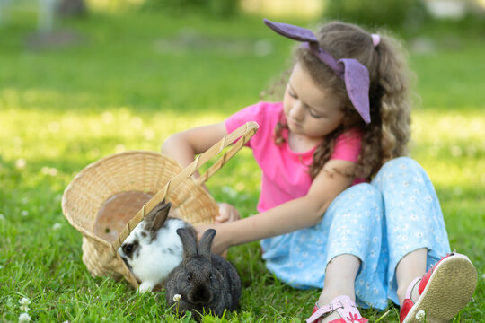 little cute girl with hear ears playing with two rabbits in basket in green grass. Child with pet bunny outdoors. Happy kid with animal. Children at easter egg hunt. soft focus
