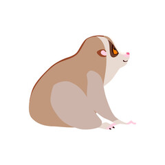 Animal illustration. Sitting slow loris drawn in a flat style. Isolated objects on a white background. Vector 10 EPS