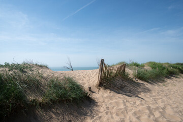une dune sur l'île d'Aix - obrazy, fototapety, plakaty