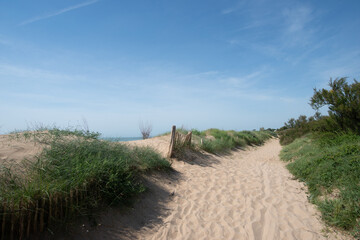 le chemin sur les dunes à l'île d'Aix
