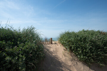 une dune sur l'&icirc;le d'Aix