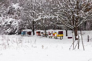 Beehives in winter covered in snow