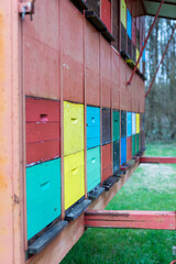 A large dwelling of beehives in the field