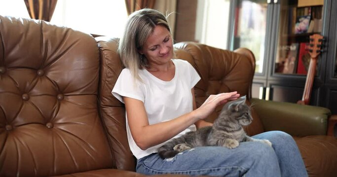 Satisfied woman strokes sleepy furry cat sitting on lap