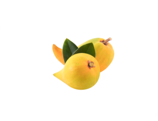 Fresh pouteria campechiana (kunth) baehni isolated on transparent png