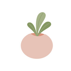Cactus, Desert spingy plant, green plant in pot, pastel cute plant, vector