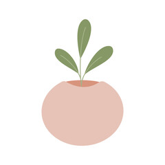 Cactus, Desert spingy plant, green plant in pot, pastel cute plant, vector