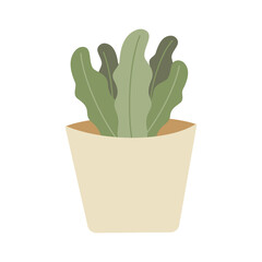 Cactus, Desert spingy plant, green plant in pot, pastel cute plant, vector