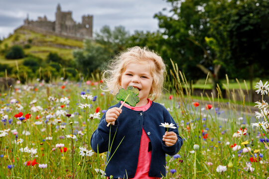 Cute toddler girl with Irish cloverleaf lollipop with Rock of Cashel castle on background. Happy healthy child on flower meadow eating unhealthy sweets. Family and small children vacations in Ireland