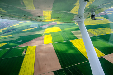 vue aérienne de champs de colza dans les Yvelines en France - obrazy, fototapety, plakaty