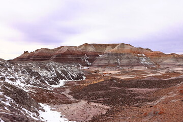 Petrified Forest National Park, a natural attraction place with many petrified tree trunks and...