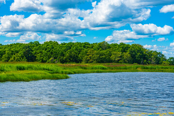 Marshes near Borgholm in Sweden © dudlajzov