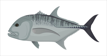 Giant Trevally Fish Sea Food Animal Vector Illustration