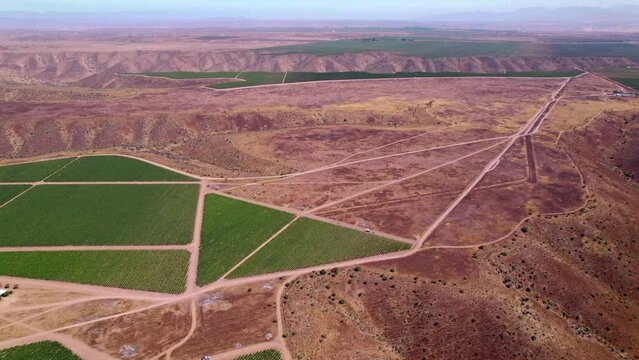 Geometric green Limari valley vineyard aerial view flying across Chilean landscape near Andes mountain range