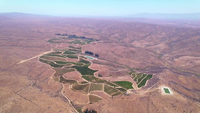 Establishing aerial view over Fray Jorge vineyard in Limari Chilean valley surrounded by arid dry land