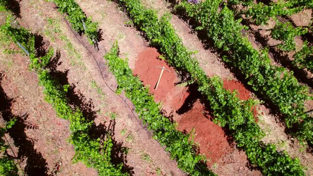 Rising aerial shot of a pickaxe beside a calicata in the vineyards in Maule Valley
