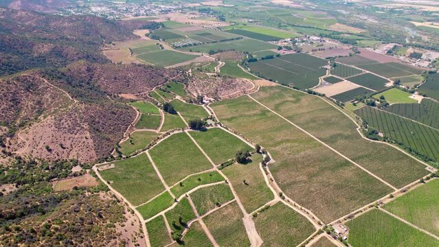 Aerial view flying across rural patchwork vineyard landscape in the Chilean Rapel valley, tilt up to Andes mountain range