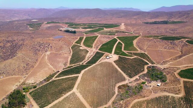 Orbiting aerial view across Fray Jorge patchwork green vineyard landscape in the Chilean Limari valley