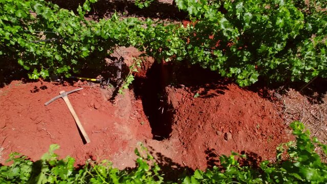 Low aerial dolly over a pickaxe at the side of a Cabernet Sauvignon calicata in Maule Valley, Chile