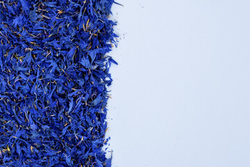 Tło po lewej stronie z niebieskich chabrów © Paweł Kacperek