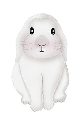 white rabbit watercolor art pet drawing, isolated fluffy hare mammal sketch illustration, adorable furry bunny for happy gift set easter decoration creativity graphic