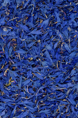 Niebieskie chabry w ujęciu makro struktura płatków z bliska © Paweł Kacperek