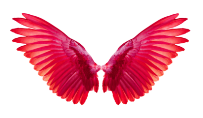 red wings on transparent png