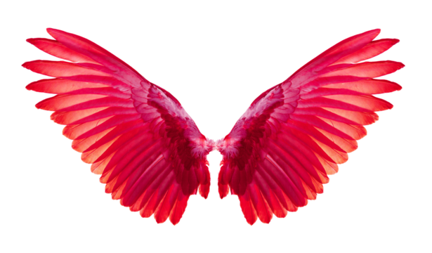 red wings on transparent png