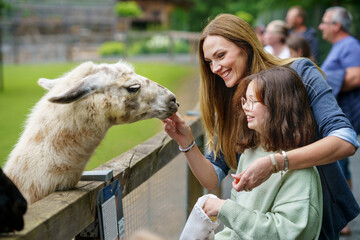 School european girl and woman feeding fluffy furry alpacas lama. Happy excited child and mother...