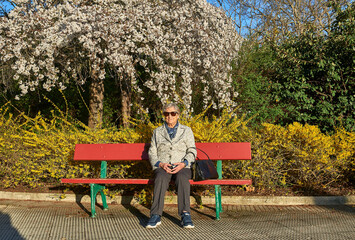 woman in her eighties takes a sunbath sitting on a red bench in front of a flower garden with a...
