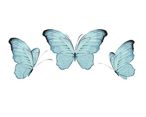 butterfly positive quote hand drawn spring