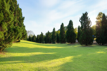 Fototapeta na wymiar Landscape, green park or garden at outdoor with blue sky and clouds background. Include empty space on land, grass, lawn, row of plant and tree. Natural zone for city, resort, hotel, school, airport.