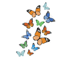 butterfly positive quote hand drawn spring