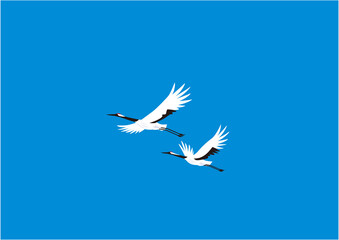 青空を翔ぶタンチョウのつがい