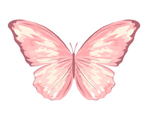 butterfly hand drawn design vector