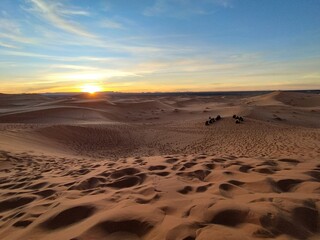 sahara