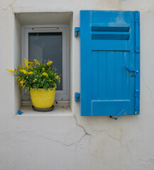 blue window with flowers